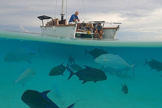 Introduction to sailing and discovering the lagoon - Weather, cancellations, and practical planning