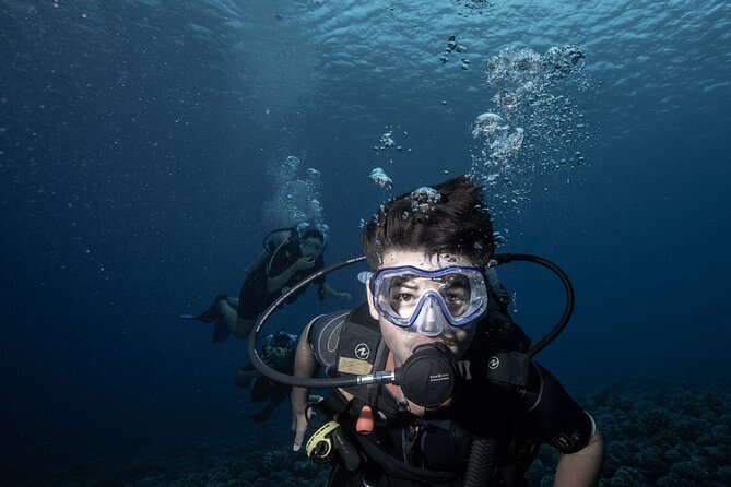 Introductory Scuba Diving Experience in Bora Bora - Why Bora Bora’s lagoon works for a first scuba lesson