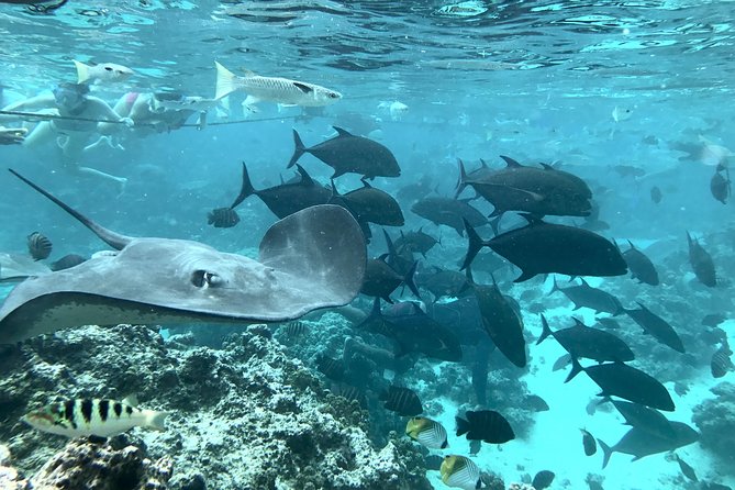 Jet Ski Moorea Customed Tour only - What the Price Delivers