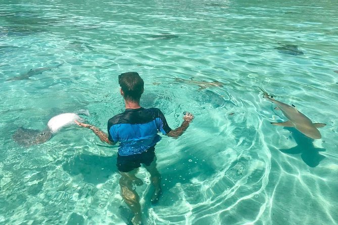 Jet Ski Moorea Customed Tour only - Starting at Marina Vai’are