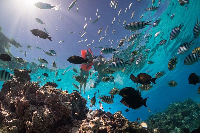 Keishi Tour Half Day Shared Excursion - Key points to know before booking