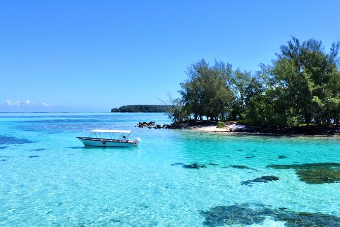 Lagoon and Marine Wildlife Tour in Moorea - Marine wildlife, safety, and protected areas