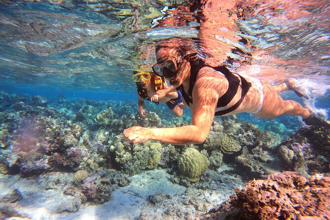 Lagoon and Marine Wildlife Tour in Moorea - Practical details for a smoother morning