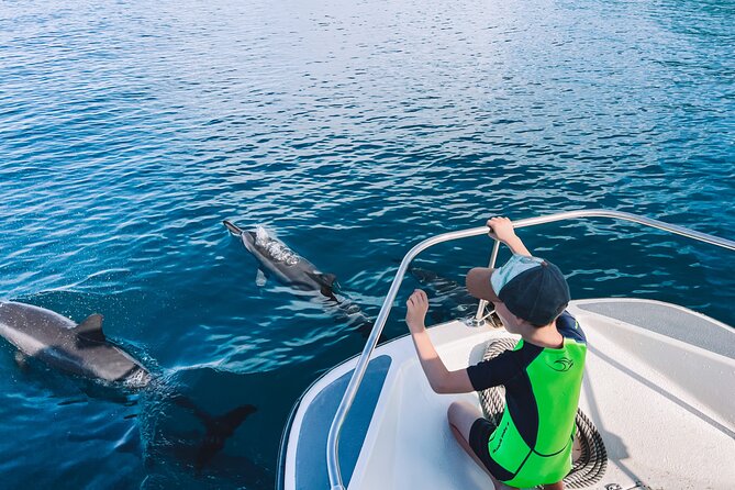 Lagoon and Wildlife Discovery on a Private Boat in Moorea - A fruit platter and photos included in the price