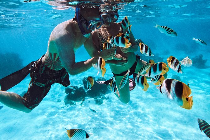 Lagoon and Wildlife Discovery on a Private Boat in Moorea - Who will enjoy this outing most