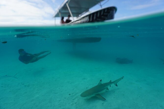 Lagoon Exploration and Snorkeling in Moorea - Meeting Captain Tama and the crew