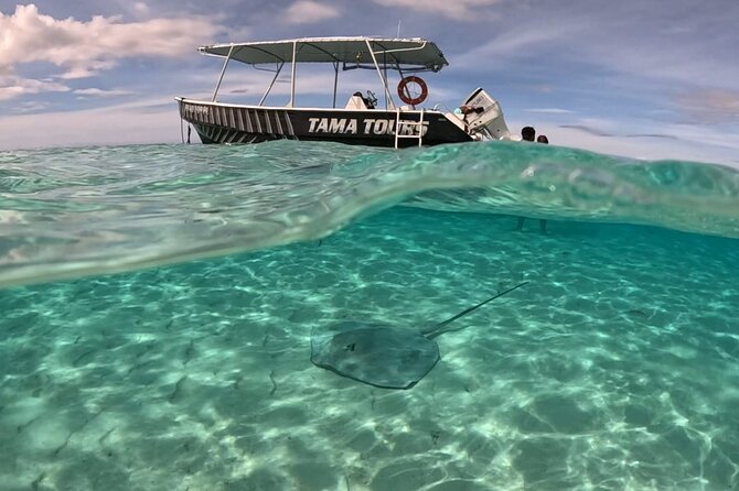 Lagoon Exploration and Snorkeling in Moorea - Snorkeling at the coral garden