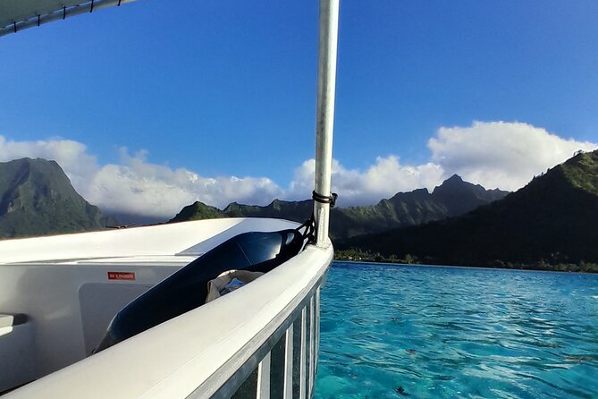 Lagoon Exploration and Snorkeling in Moorea - Swimming with stingrays and black tip reef sharks