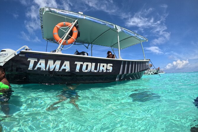 Lagoon Exploration and Snorkeling in Moorea - Who should book this Moorea tour?