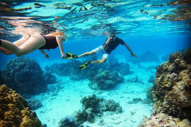 Lagoon Tour in Moorea in Small Group with Lunch - Who will enjoy this Moorea outing most