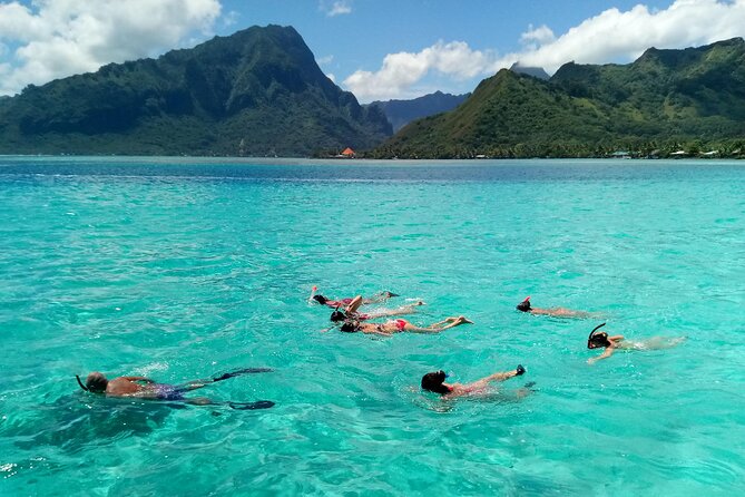 Land and Sea cultural tour to discover traditions, heritage and the lagoon - Swimming Near Rays in the Lagoon