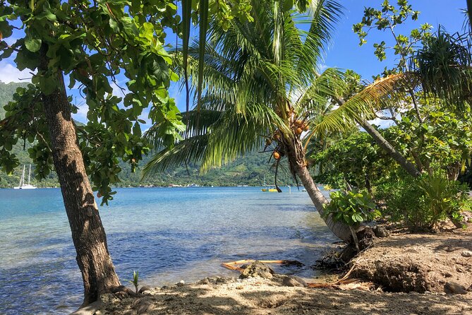 Land and Sea cultural tour to discover traditions, heritage and the lagoon - Walking Through the Park
