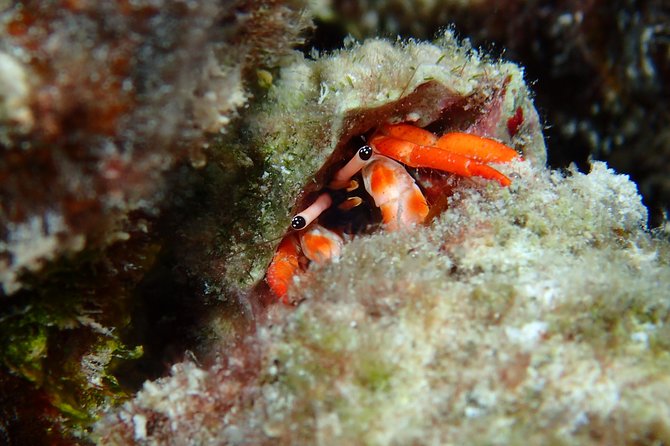 Luxury Full Day Snorkeling - Weather, cancellations, and planning ahead