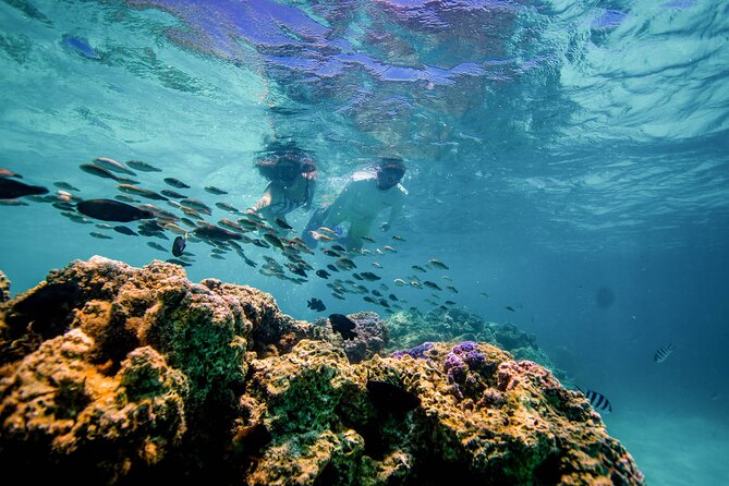 LUXURY PRIVATE Catamaran Bora Bora : Full-Day Trip - Who will get the most from this outing