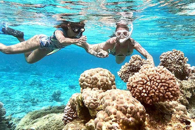 LUXURY PRIVATE Catamaran : Full-Day Sail & Polynesian Motu Lunch - Snorkeling near the reef
