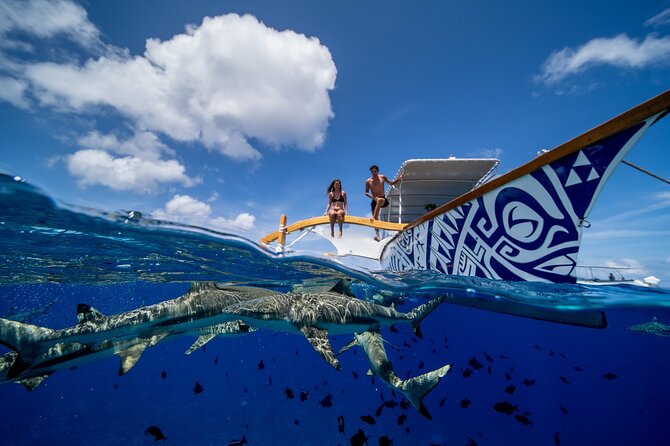 Luxury Private full day tour & Motu lunch in Bora-Bora - Four hours among Bora Bora’s rays, sharks, and coral