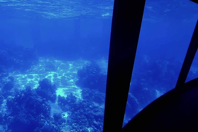 Magical Boat Tour with Underwater Cabin in Bora Bora! - Key points to know before you book