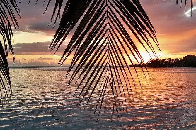 Magical Boat Tour with Underwater Cabin in Bora Bora! - Should you book the Bora Bora underwater boat?