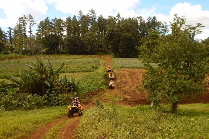 Medium Combo in Moorea of 2 hours of Jetski and 2h30 of Quad - The 2.5-hour quad ride through Moorea’s interior