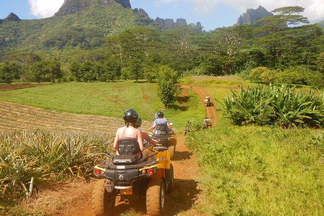 Medium Magical Combo in Moorea of 2 hours of Jetski and 3h30 of Quad - Rays and blacktip sharks are the day’s signature encounter