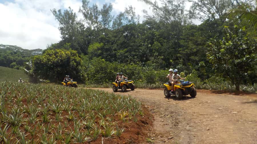 Mo'orea: Guided ATV Nature Tour - Key points to know before you book