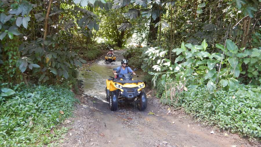Mo'orea: Guided ATV Nature Tour - Riding into Mooreas Opunohu Valley