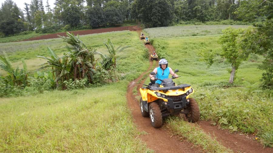 Mo'orea: Guided ATV Nature Tour - The Belvedere view over two famous bays