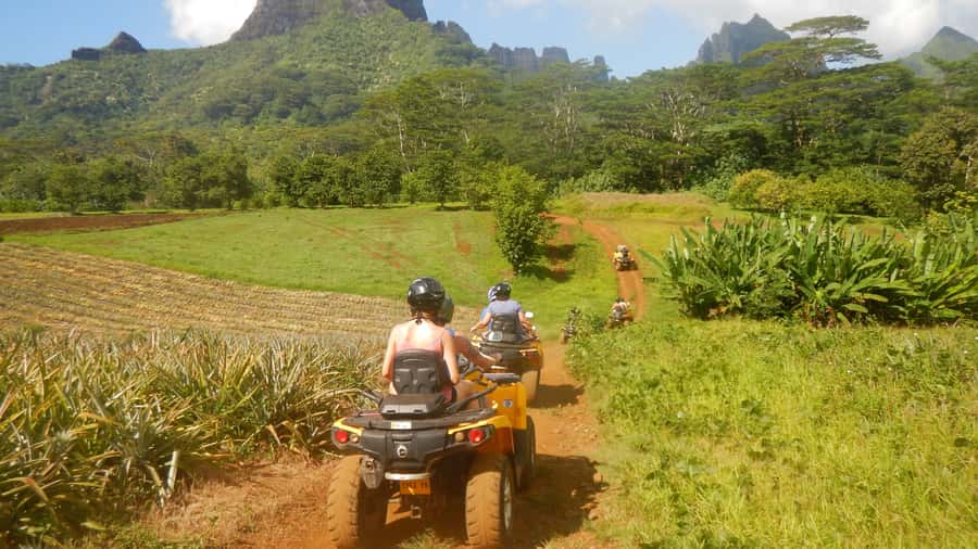 Mo'orea: Guided ATV Nature Tour - Magic Mountain and the return across the fields