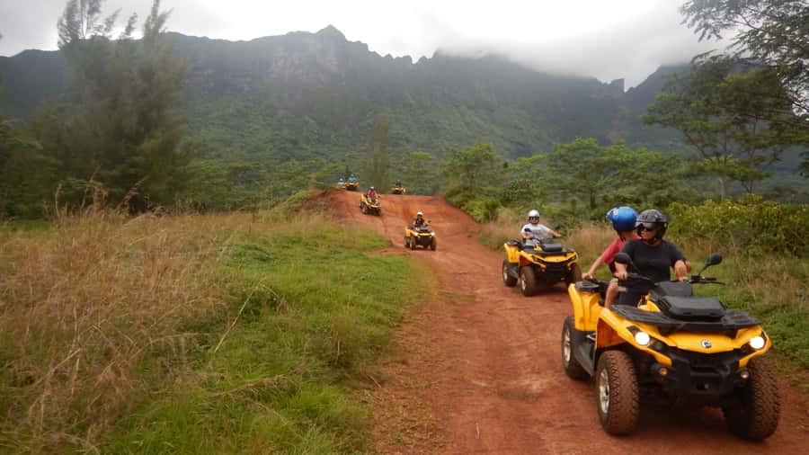 Mo'orea: Guided ATV Nature Tour - What the $123 price buys you