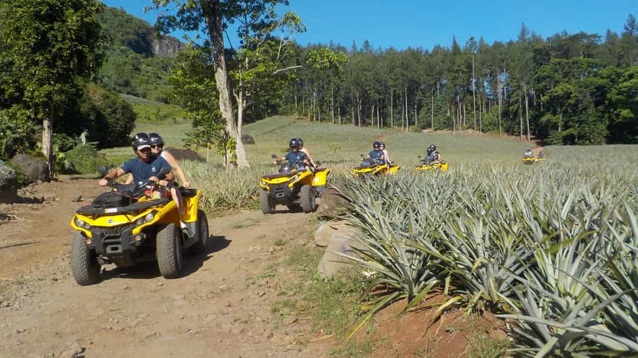 Mo'orea: Guided ATV Nature Tour - Pineapple fields, rivers, and plantation roads