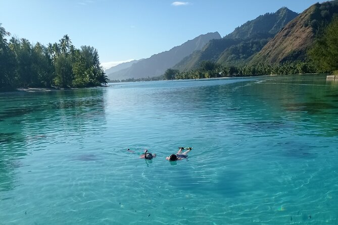 Mo'orea Half Day Private Tour with Snorkeling and Cruising the Lagoon - Sharks and rays at the famous lagoon stop