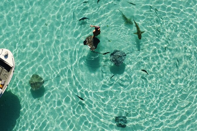 Mo'orea Half Day Private Tour with Snorkeling and Cruising the Lagoon - A coral garden away from the crowds