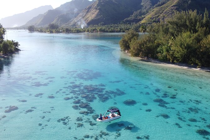 Mo'orea Half Day Private Tour with Snorkeling and Cruising the Lagoon - What the private format is really worth