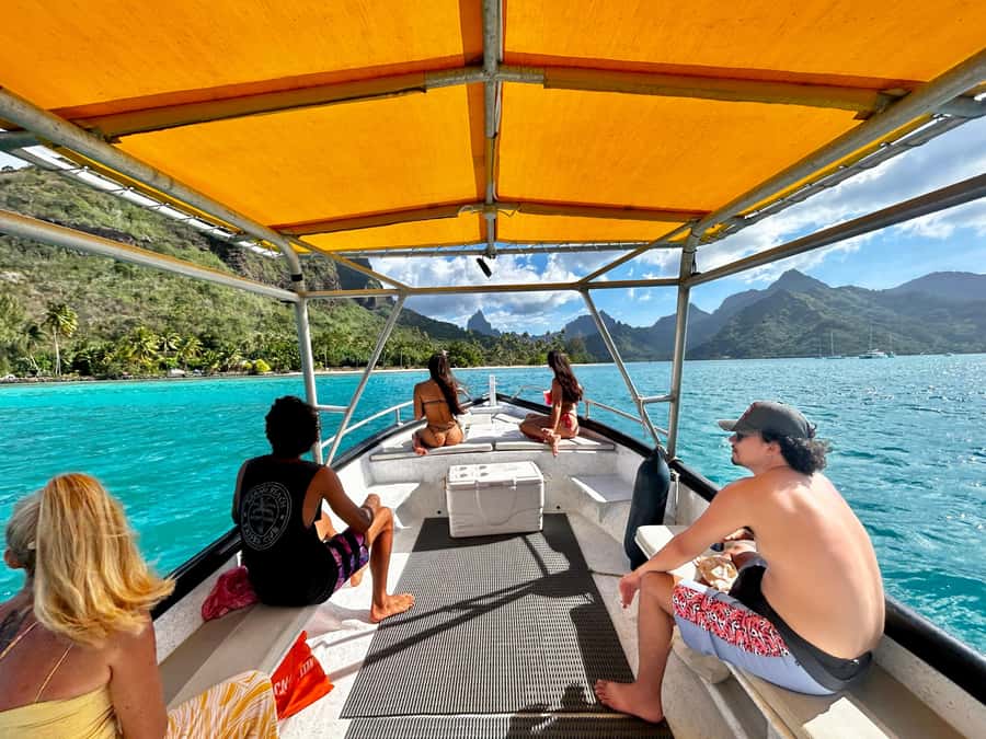 Moorea 4H Shared Boat Tour Whale Swimming and Snorkeling - What the six-person boat changes