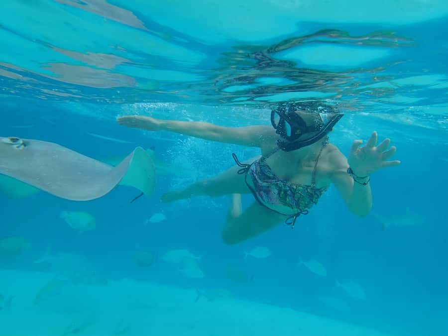 Moorea 4H Shared Boat Tour Whale Swimming and Snorkeling - How to prepare for the best morning