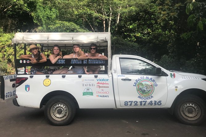 Moorea 4WD Tour Inc. Belvedere, Pineapple Farm, Magic Mountain... - Belvedere Lookout and the two famous bays