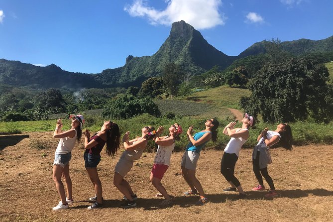 Moorea 4WD Tour Inc. Belvedere, Pineapple Farm, Magic Mountain... - Distillery tasting and the end of the route