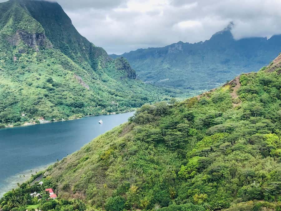 Moorea:4X4 safari excursion between land and sea with lunch - Fruit juice, liqueur, and a local tasting stop