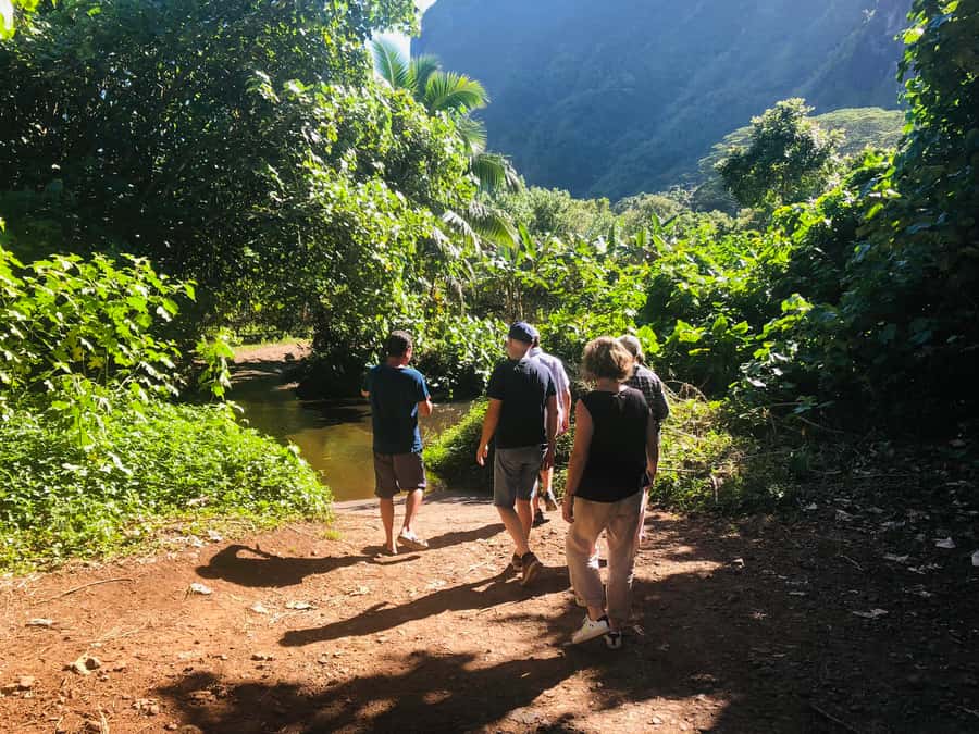 Moorea:4X4 safari excursion between land and sea with lunch - Pearl shopping before the return ride