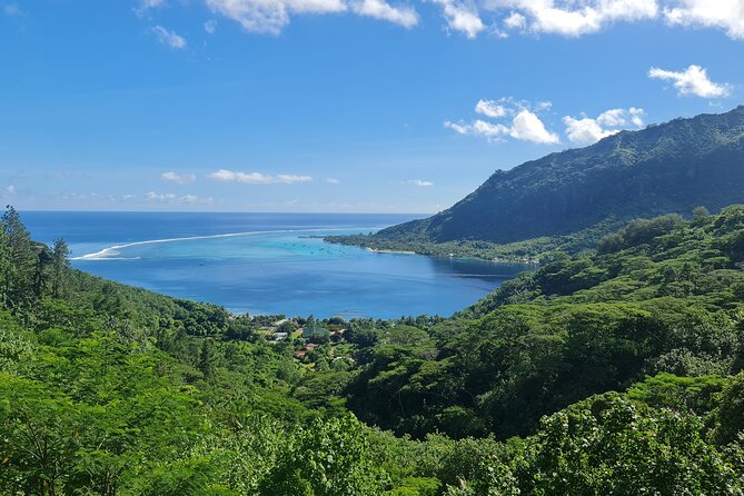 Moorea Aito 4WD Safari Tour - Half day - The steep road to Magical Mountain