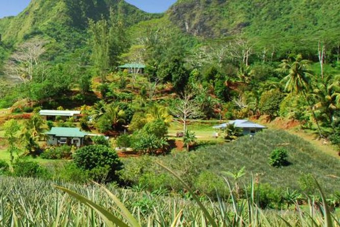 Moorea Aito 4WD Safari Tour - Half day - Is the $64.98 price fair?