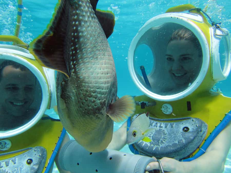 Moorea: Aquablue Helmet Underwater Walking Experience - How the small group changes the experience
