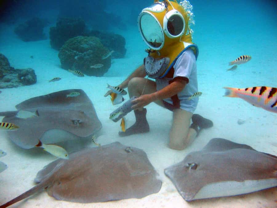 Moorea: Aquablue Helmet Underwater Walking Experience - Who will get the most from this Moorea activity?
