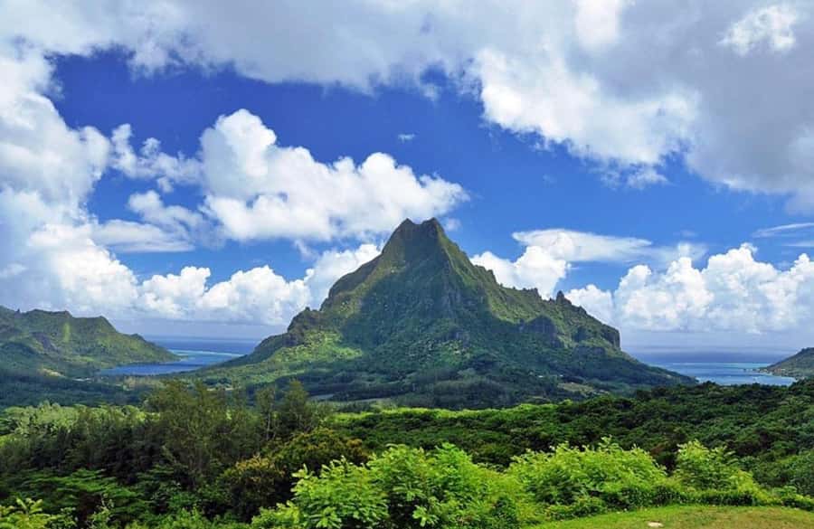 Moorea Cruise Ships 4x4, Belvedere Magic mount PRIVATE Tours - Tropical fruit, jam, coconut, juice, and liquor