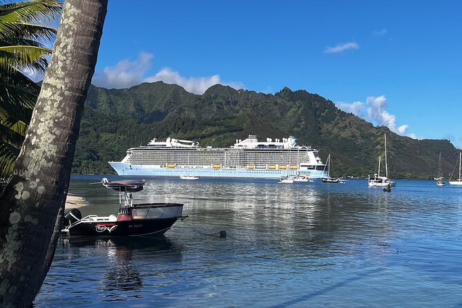 Moorea Cruise Ships: 4x4, Belvedere, Pineapple, & Magic Mountain - Manutea Tahiti and local tastings