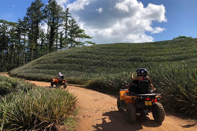 Moorea Explorer Atv Quad Tour - What the guide adds to the ride