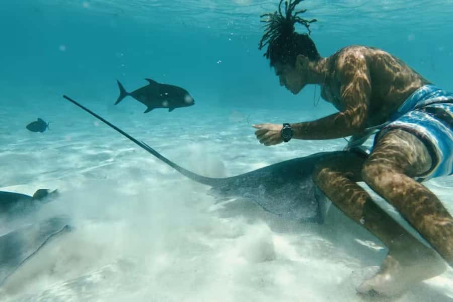 Moorea: Glass Bottom Boat Adventure with Lagoon Wonders - Meeting the turtles at the sanctuary