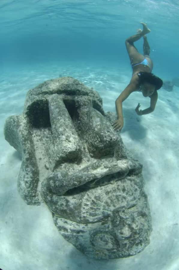 Moorea: Glass Bottom Boat Adventure with Lagoon Wonders - What the $148 price includes