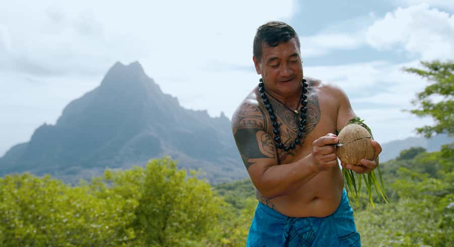 Moorea: Half-Day Open-Air 4WD Safari with Hotel Transfers - Six things worth knowing before you book