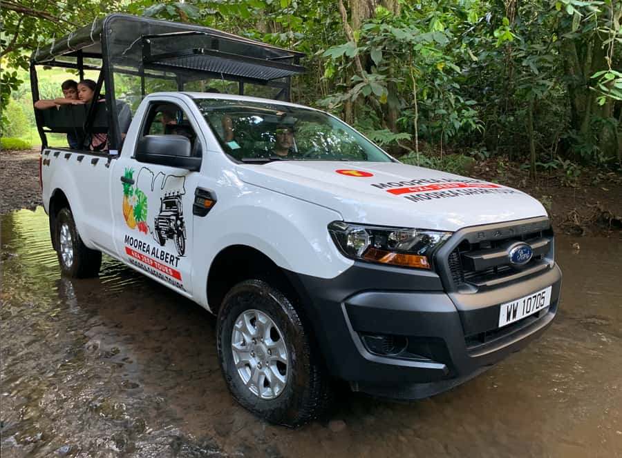 Moorea: Half-Day Open-Air 4WD Safari with Hotel Transfers - Rough tracks lead into Moorea’s interior